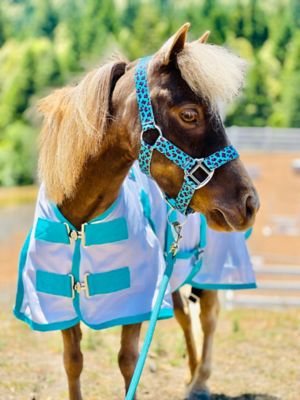 Image showing  Mini-Pony Hooded Fly Sheet