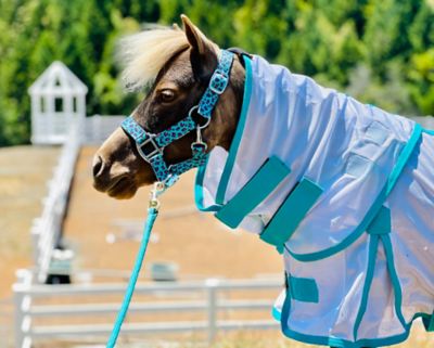 Image showing  Mini-Pony Hooded Fly Sheet