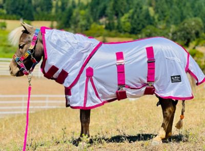 Star Point Horsemanship Mini-Pony Hooded Fly Sheet