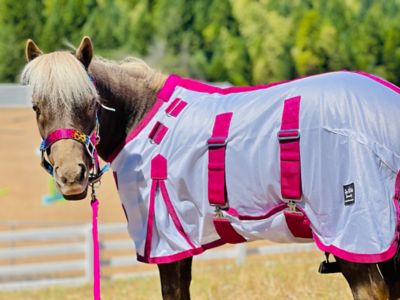 Image showing  Mini-Pony Hooded Fly Sheet