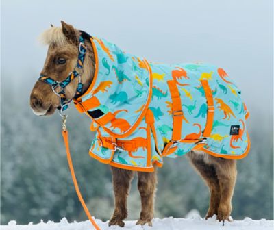 Image showing  Dinosaur 220 Mid Weight Waterproof Hooded 600 D Blanket