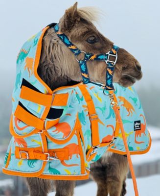 Image showing  Dinosaur 220 Mid Weight Waterproof Hooded 600 D Blanket