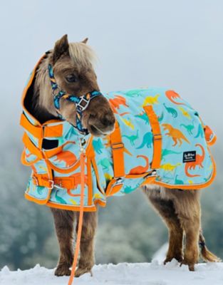 Image showing  Dinosaur 220 Mid Weight Waterproof Hooded 600 D Blanket