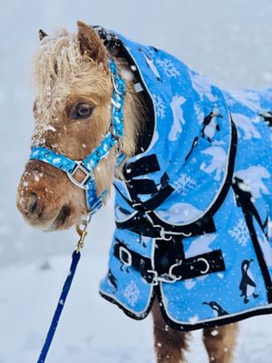 Image showing  Polar Bear Penguin 600 D Hooded Waterproof Blanket 350 G + Halter Set