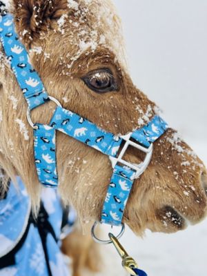 Image showing  Polar Bear Penguin 600 D Hooded Waterproof Blanket 350 G + Halter Set