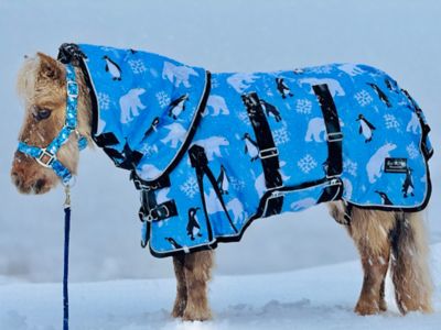 Star Point Horsemanship Polar Bear Penguin 600 D Hooded Waterproof Blanket 350 G + Halter Set