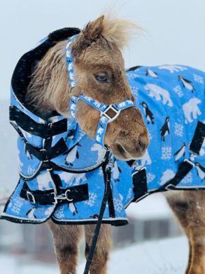 Star Point Horsemanship Polar Bear Hooded 350 G Waterproof Blanket + Halter Set