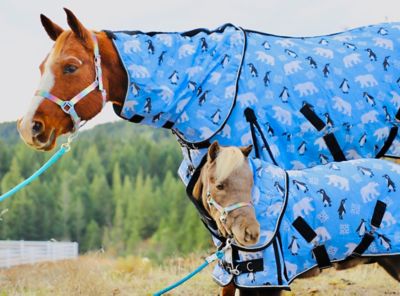 Image showing  Polar Bear Penguin 600 D Hooded Waterproof Blanket 350 G + Halter Set