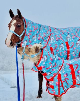 Star Point Horsemanship Holiday Candy Cane Pony 220 Mid-Weight Waterproof Blanket & Halter Set