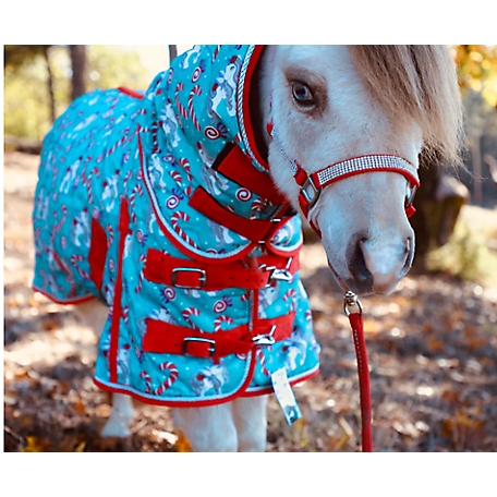 Star Point Horsemanship Holiday Candy Cane Pony 220 Mid-Weight Waterproof Blanket & Halter Set