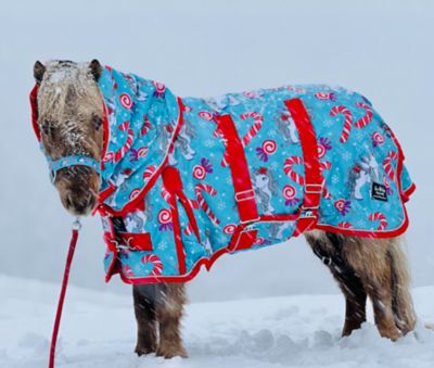 Image showing  Holiday Candy Cane Pony 220 Mid-Weight Waterproof Blanket & Halter Set