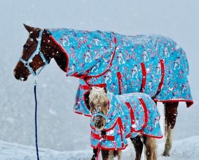 Image showing  Holiday Candy Cane Pony 220 Mid-Weight Waterproof Blanket & Halter Set