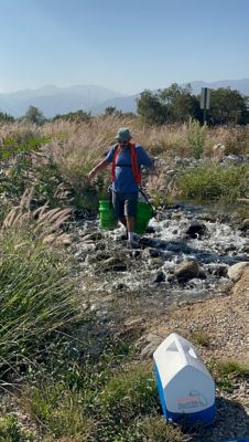 Image showing Forearm Forklift Bucket Buddy Harness
