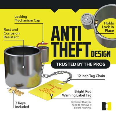 Image showing  King Pin Lock