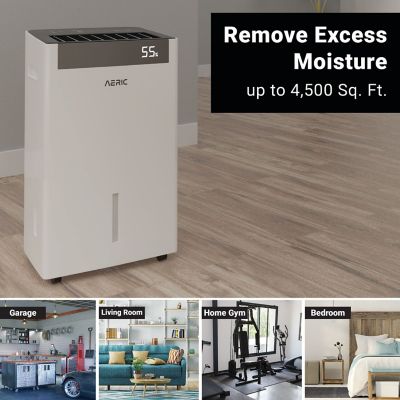 Image showing  50 pt. Dehumidifier