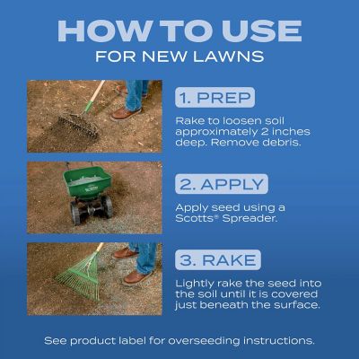 Image showing 6 th Scotts 2.4 lb. 960 sq. ft. Turf Builder Grass Seed Sun and Shade Mix