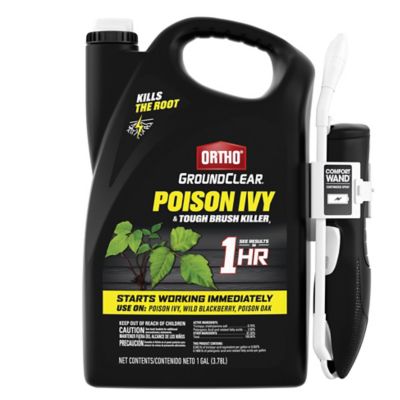 Ortho GroundClear Poison Ivy & Tough Brush Killer3 with Comfort Wand, 1 gal.
