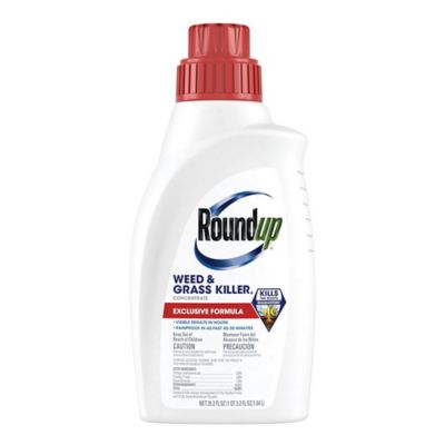 Roundup Weed & Grass Killer4 Concentrate, 35.2 fl. oz.