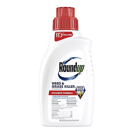 Roundup Weed & Grass Killer4 Concentrate, 35.2 fl. oz.
