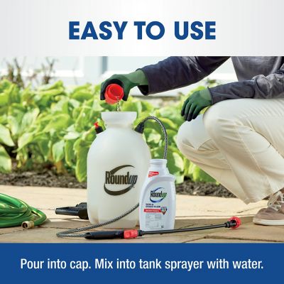 Image showing 8 th Roundup 35.2 fl. oz. Weed & Grass Killer4 Concentrate