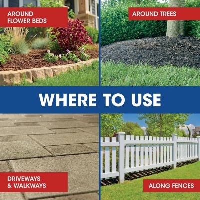 Image showing  24 fl. oz. Weed & Grass Killer