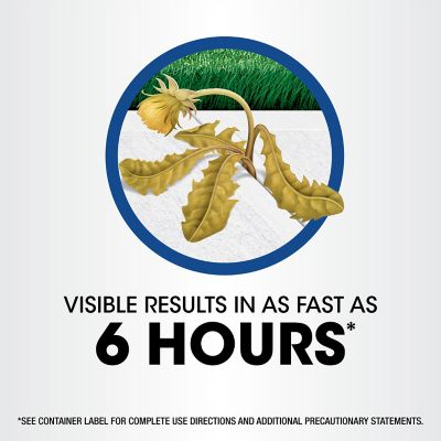 Image showing 5 th Roundup 24 fl. oz. Weed & Grass Killer