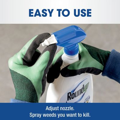 Image showing 8 th Roundup 24 fl. oz. Weed & Grass Killer