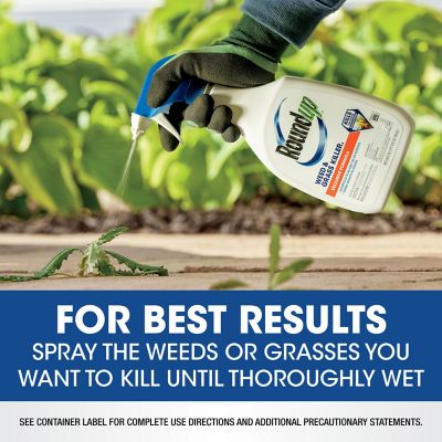 Image showing 9 th Roundup 24 fl. oz. Weed & Grass Killer