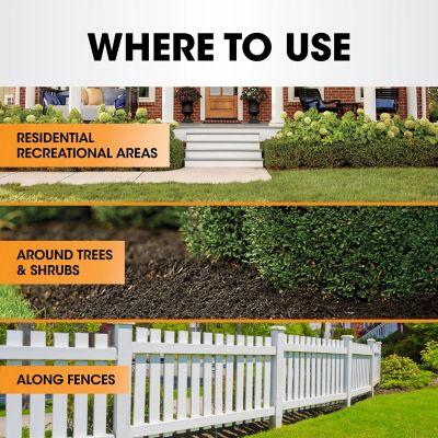 Image showing  1 gal. Poison Ivy Plus Tough Brush Killer2 with Comfort Wand