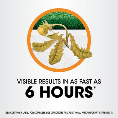 Image showing  1 gal. Poison Ivy Plus Tough Brush Killer2 with Comfort Wand