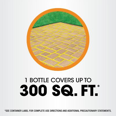 Image showing 6 th Roundup 1 gal. Poison Ivy Plus Tough Brush Killer2 with Comfort Wand