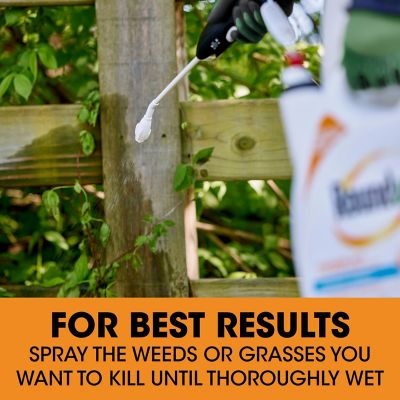 Image showing 8 th Roundup 1 gal. Poison Ivy Plus Tough Brush Killer2 with Comfort Wand