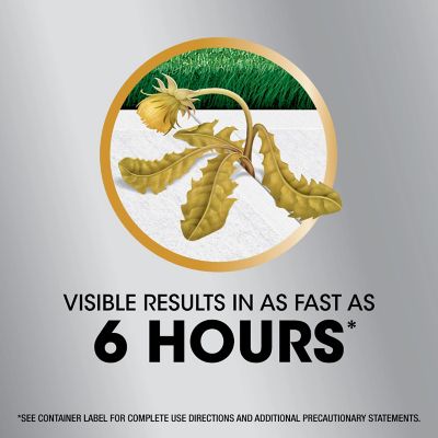 Image showing 5 th Roundup 1 gal. Dual Action 365 Weed and Grass Killer Plus, 12 Month Preventer with Comfort Wand