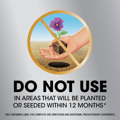 Image showing 6 th Roundup 1 gal. Dual Action 365 Weed and Grass Killer Plus, 12 Month Preventer with Comfort Wand