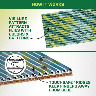 Image showing  Fly Pads, 2-Pack