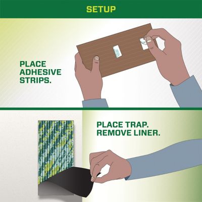 Image showing  Fly Pads, 2-Pack