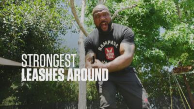 Image showing  Boss Tactical Dog Leash