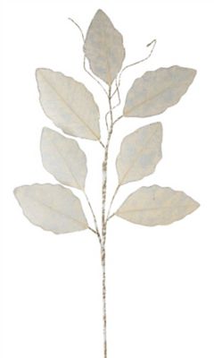 Melrose InternationalChampagne Magnolia Leaf Spray with Twig Accent (Set of 12)