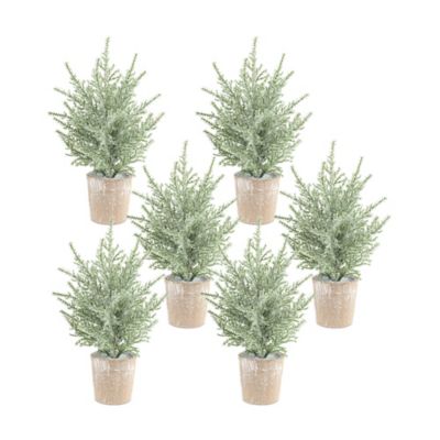 Melrose InternationalFrosted Holiday Pine Tree in Paper Pot (Set of 6)