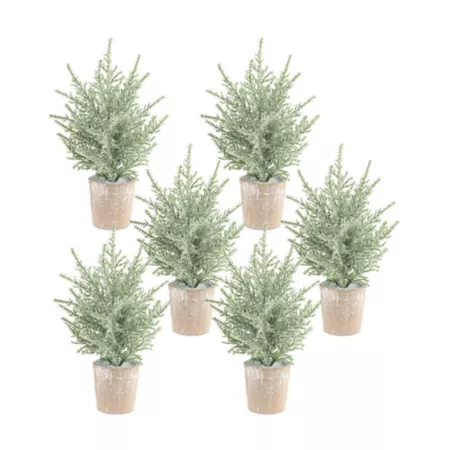 Melrose International Frosted Holiday Pine in Paper Pot (Set of 6) Artificial Christmas Plants