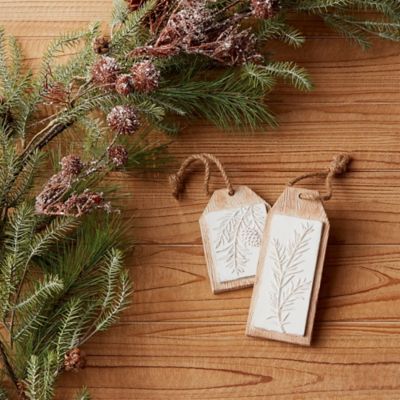 Image showing  Wood Design Pine Branch