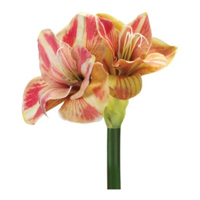 Melrose International Amaryllis Flower Stem (Set of 2)