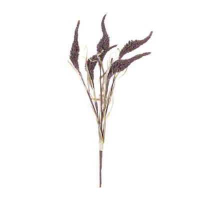 Image showing  Seeded Harvest Bush (Set of 12)