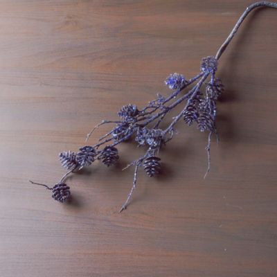 Image showing  Pinecone Twig Spray (Set of 6)