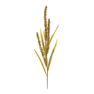 Melrose International Seeded Harvest Spray (Set of 12)