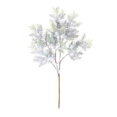 Image showing  Flocked Cedar Branch (Set of 12)