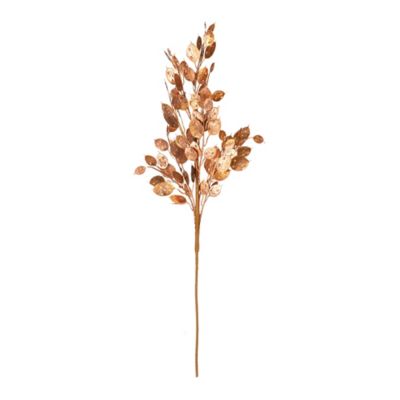 Image showing  Metallic Silver Dollar Bush (Set of 6)