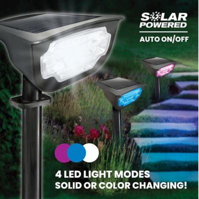 Image showing  44-Lumen Solar-Powered Bionic Color Burst Black 4 LED Path Light, 2-Pack