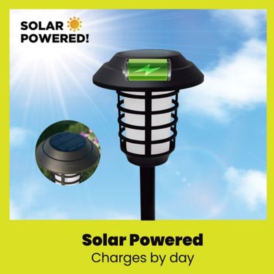 Image showing 8 th Bell & Howell 21-Lumen Solar Outdoor Pathway Lights, Waterproof, Wireless with Remote, 4-Pack