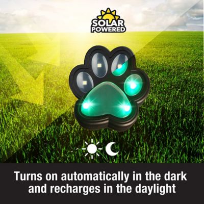 Image showing  3-Lumen Color Changing Paw Print Path Lights, 6-Pack